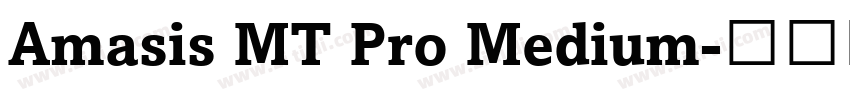 Amasis MT Pro Medium字体转换